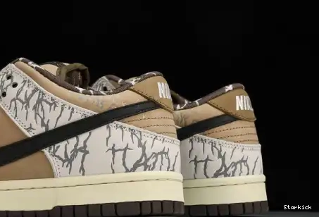  Nike  Dunk CT5053-010 QS SB PRM Low 0510